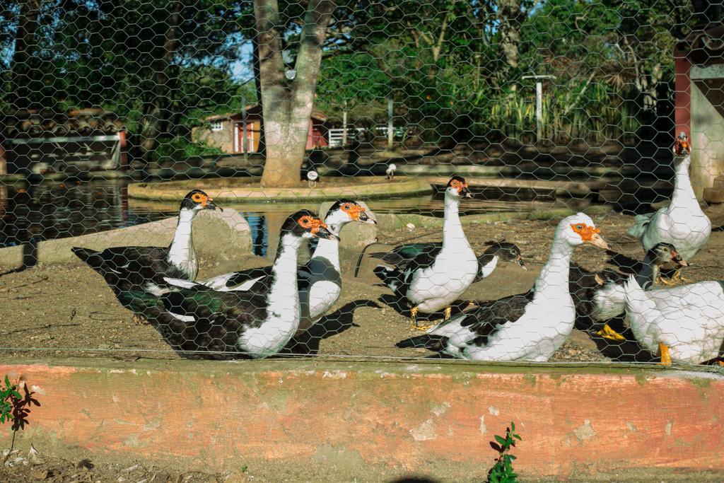 Pousada Fazendinha Buzios Extérieur photo