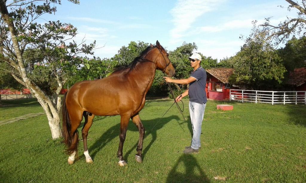 Pousada Fazendinha Buzios Extérieur photo
